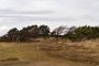 DSC00437