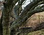 DSC00439
