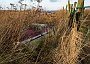 DSC00495
