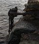 DSC00504