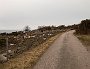 DSC01390