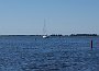 _DSC2365