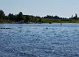 _DSC2375