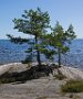 _DSC2400