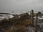 DSC04830