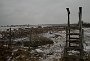 DSC04831