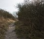 DSC04966