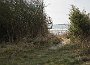 DSC04967