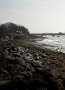 DSC04987