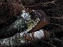DSC07658