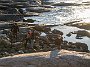 DSC04390