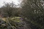DSC04901