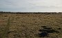 DSC04905