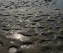 DSC04933