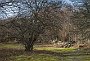DSC04961