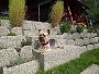 DSC00765